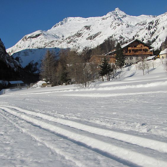 Cross-country skiing