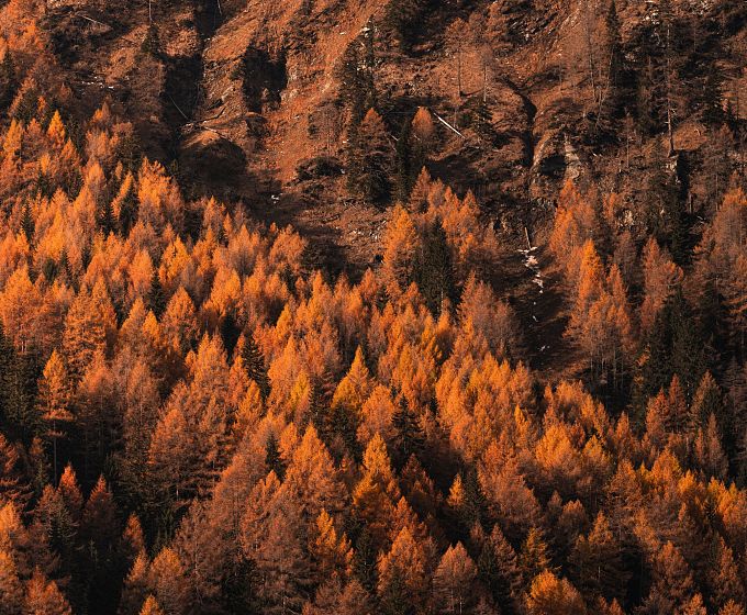Der Nationalpark Hohe Tauern